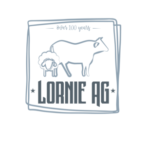 Logo-Design von vigie für Lornie Law | Design: #24148802