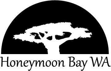 Logo Design by TelevisionBox for this project | Design #3330181