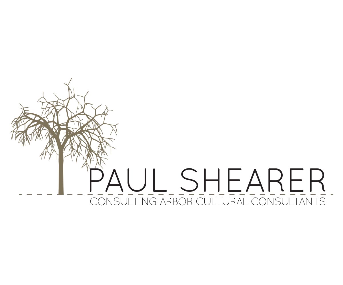 Diseño de Logo por Limen para este proyecto | Diseño #3015852