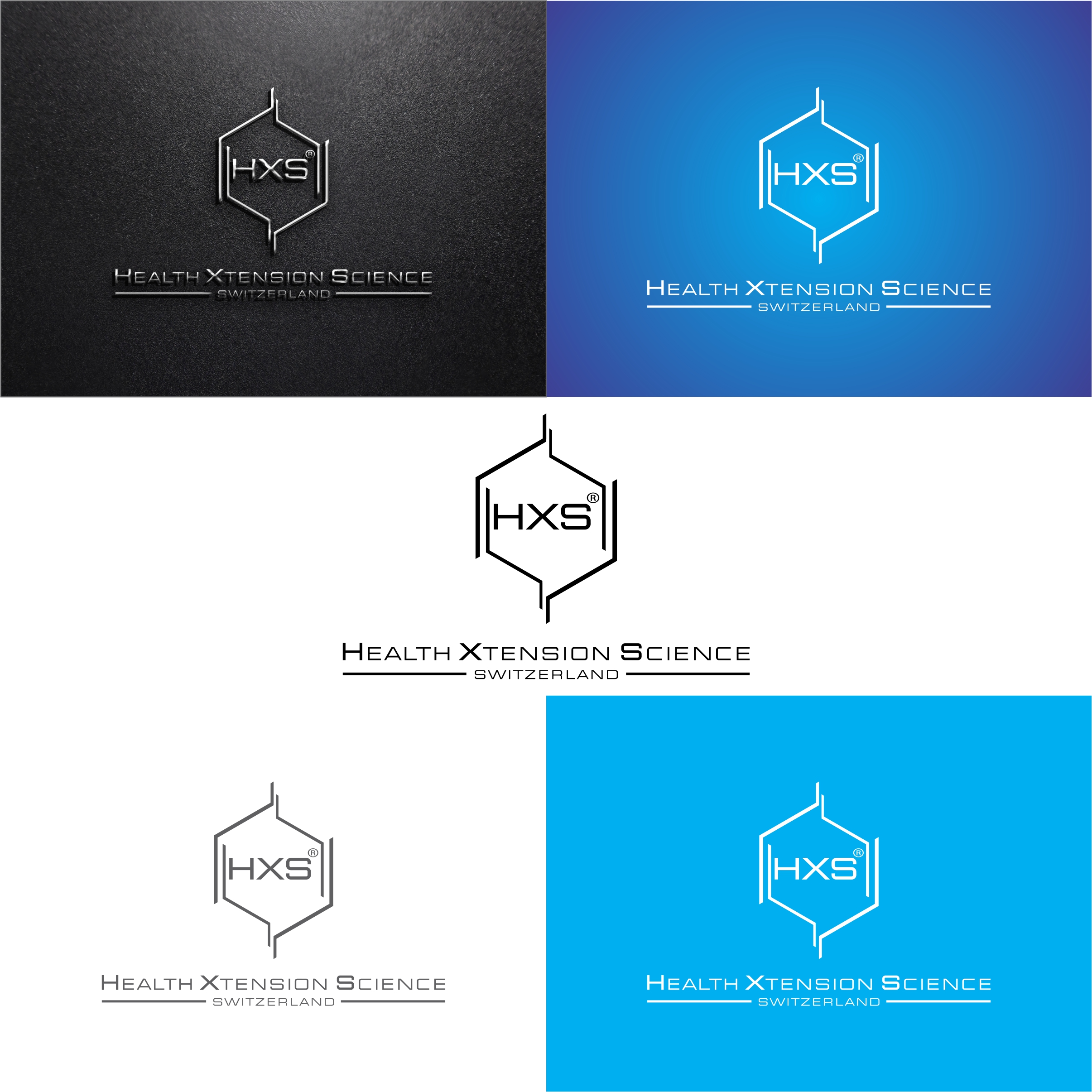 Logo Design by Rafael seno art for Health Xtension Science Switzerland | Design #24113917