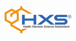 Logo Design by javico francis