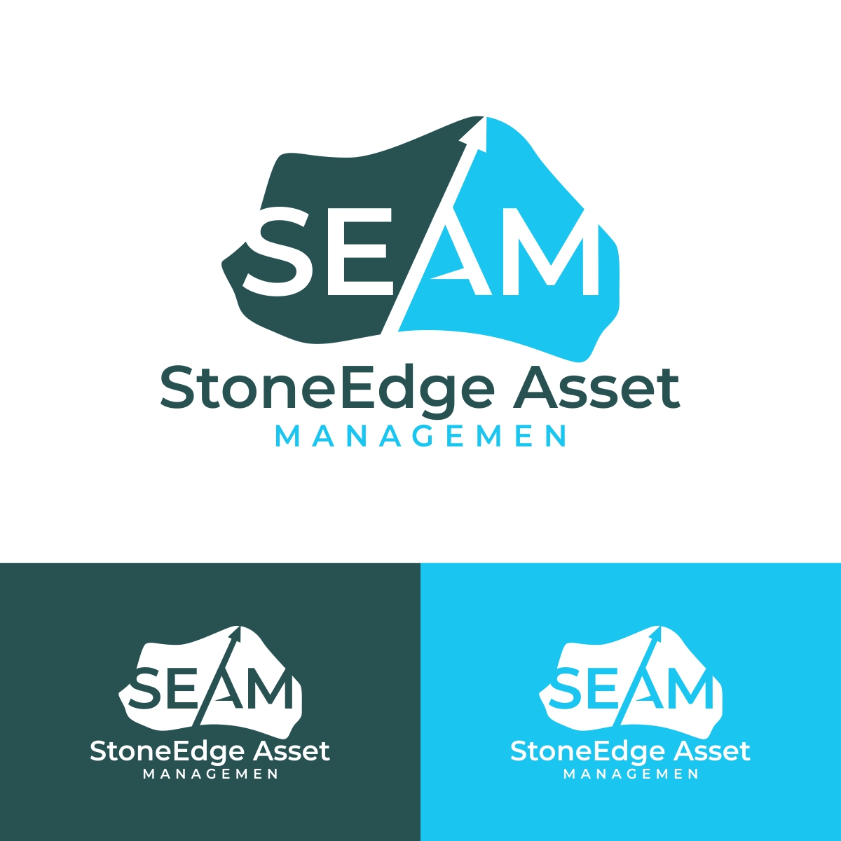 Logo Design by fly  design for this project | Design #24115697