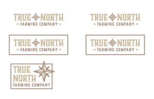 Logo Design by Calle2k