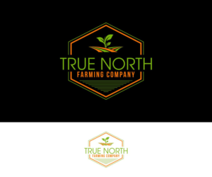 Logo Design by sidh for this project | Design: #24150217