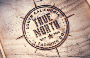 Logo Design by wonderland for this project | Design: #24127632