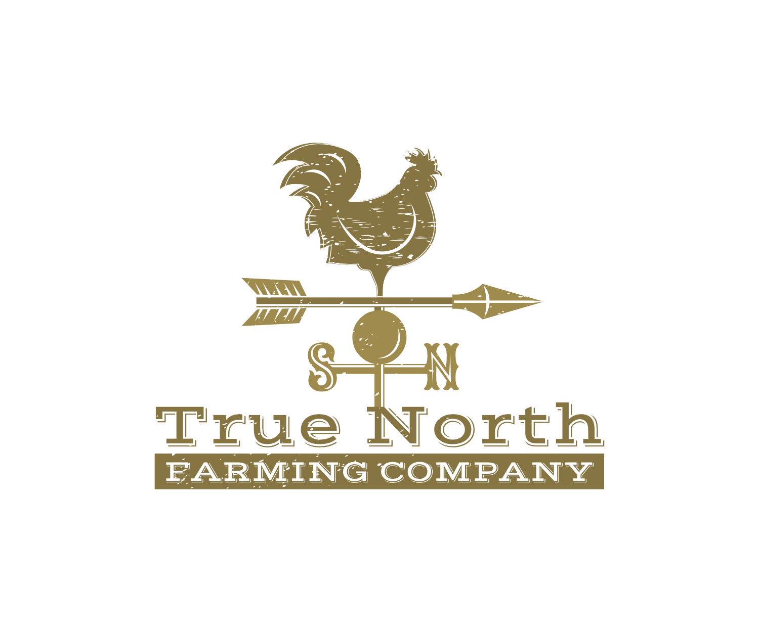 Logo Design by design.bb for this project | Design #24132869