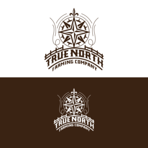 Logo Design by Graphic Bricks