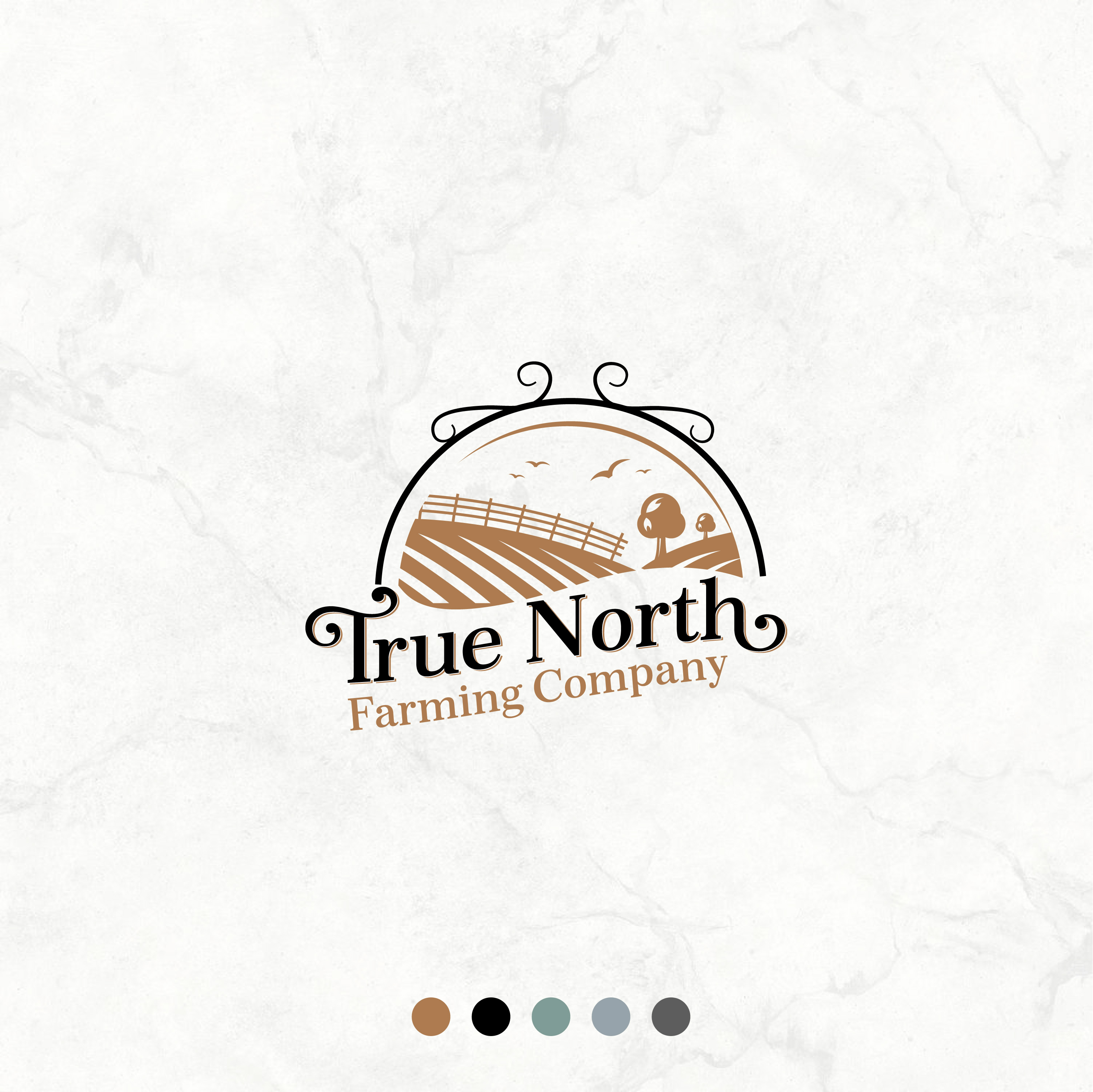 Logo Design by MarkazAlrusumatOfficial for this project | Design #24156383