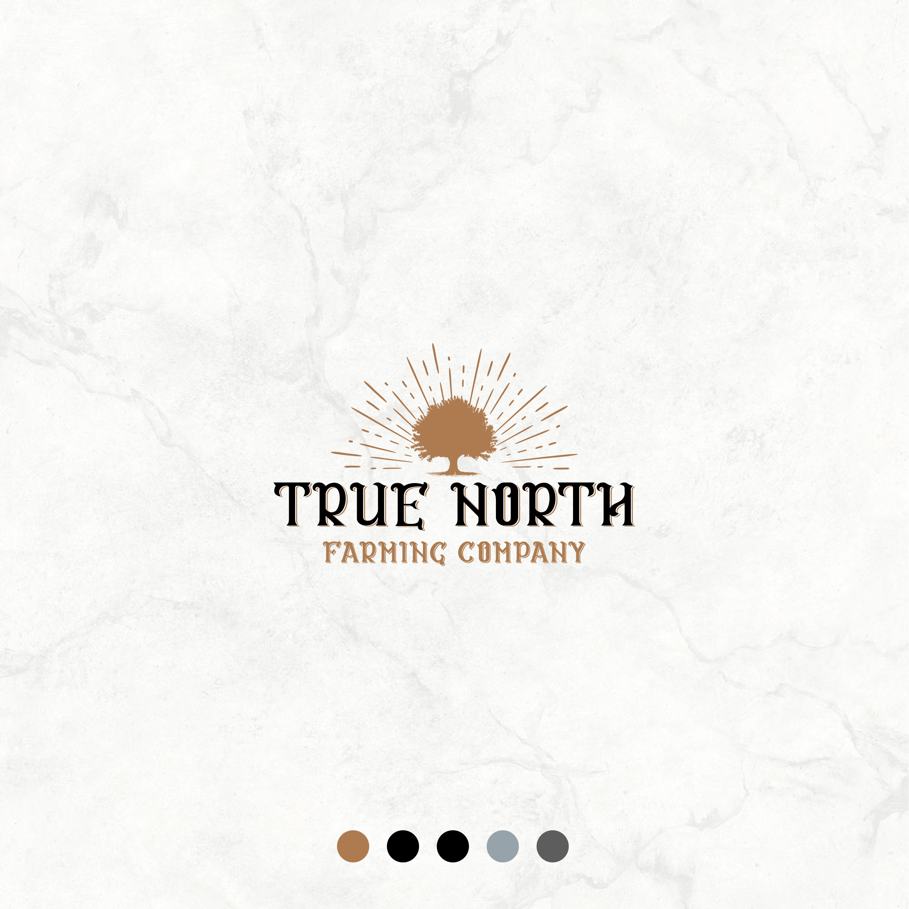 Design de Logo par MarkazAlrusumatOfficial pour ce projet | Design #24156384