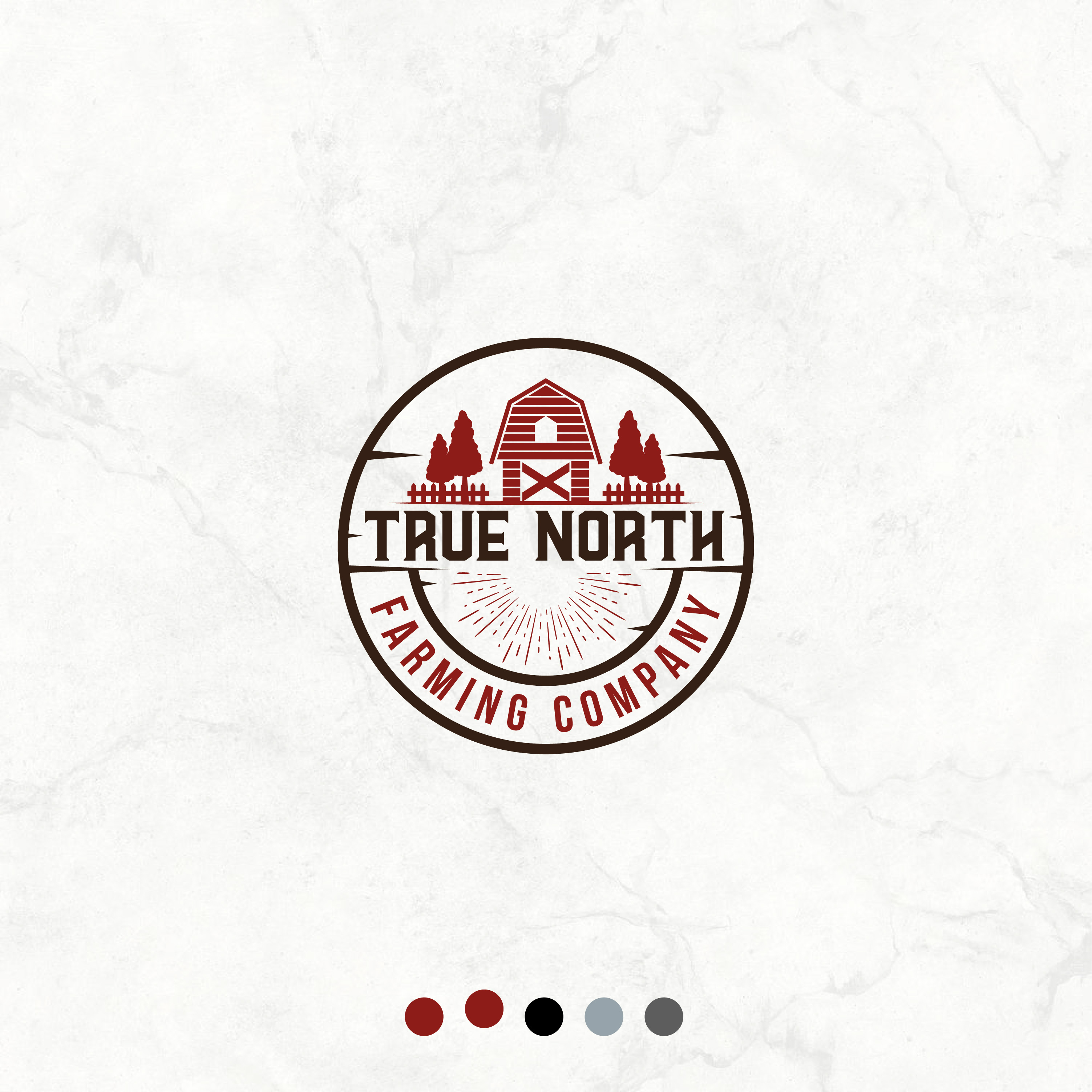 Logo Design by MarkazAlrusumatOfficial for this project | Design #24156385