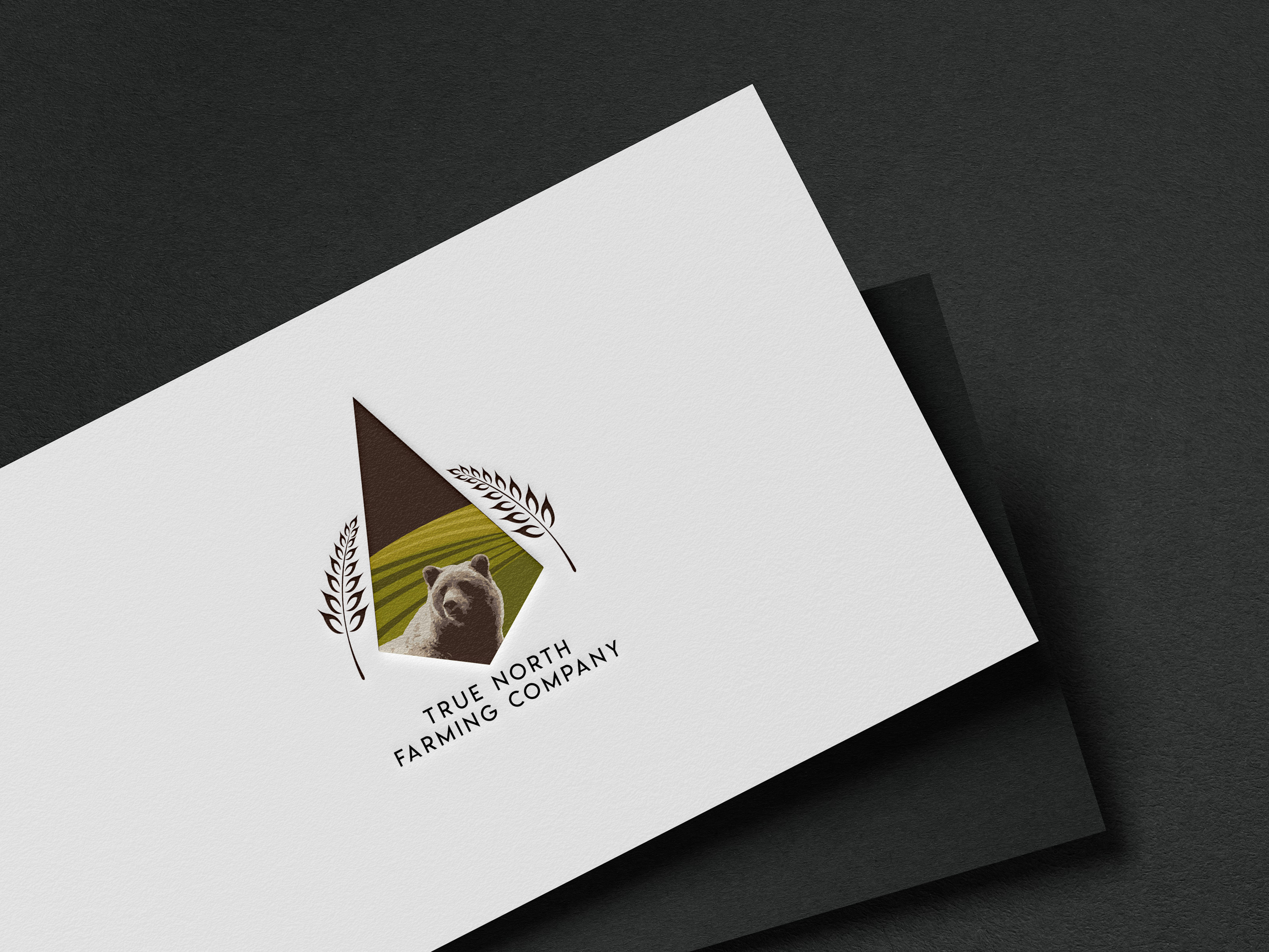 Logo Design by Rationalbay for this project | Design #24125649