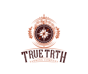 Design de Logo par AinebAyoub pour ce projet | Design : #24129975