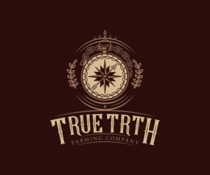 Design de Logo par AinebAyoub pour ce projet | Design : #24130014