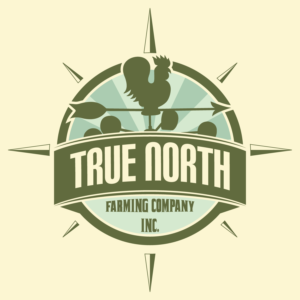 Logo Design by Juanitozzz