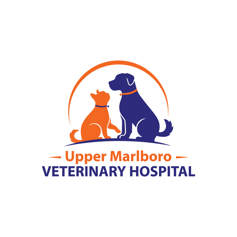 Logo Design by belovedboss for this project | Design #24194806