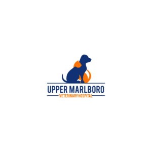 Design de Logo par Jeferson HP pour ce projet | Design : #24128056