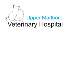 Logo Design by cs_art for this project | Design: #24164789