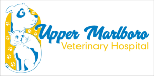 Logo Design by Jerito Traglia