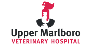 Logo Design by Jerito Traglia for this project | Design: #24164547