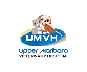 Logo Design by Rishabh 13