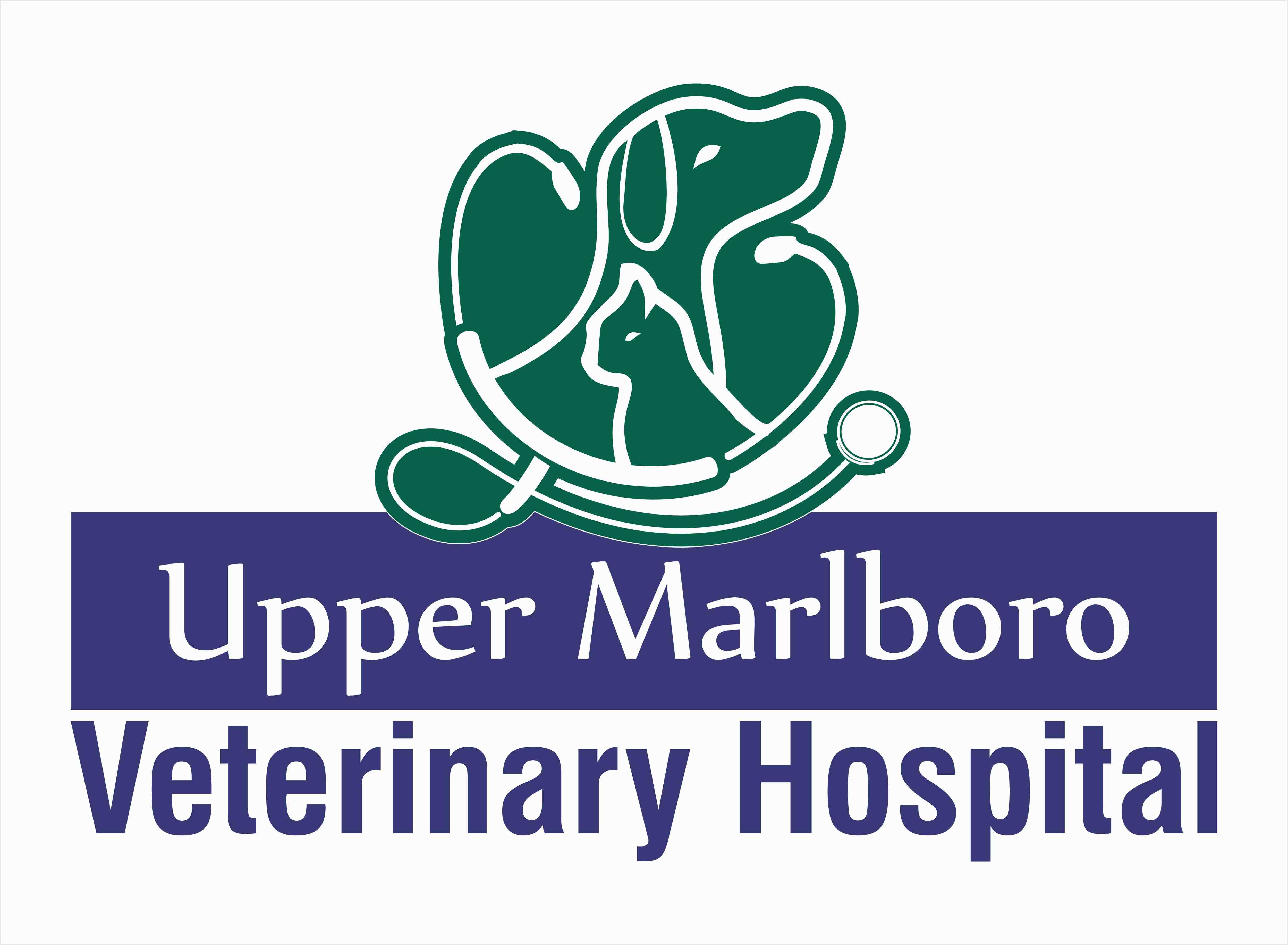 Logo Design by ABILASH for this project | Design #24143830