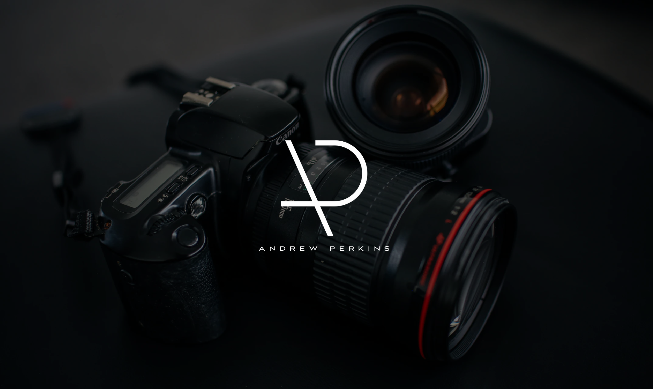Diseño de Logo por Stelery para este proyecto | Diseño #24188021