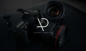 Logo Design by Stelery