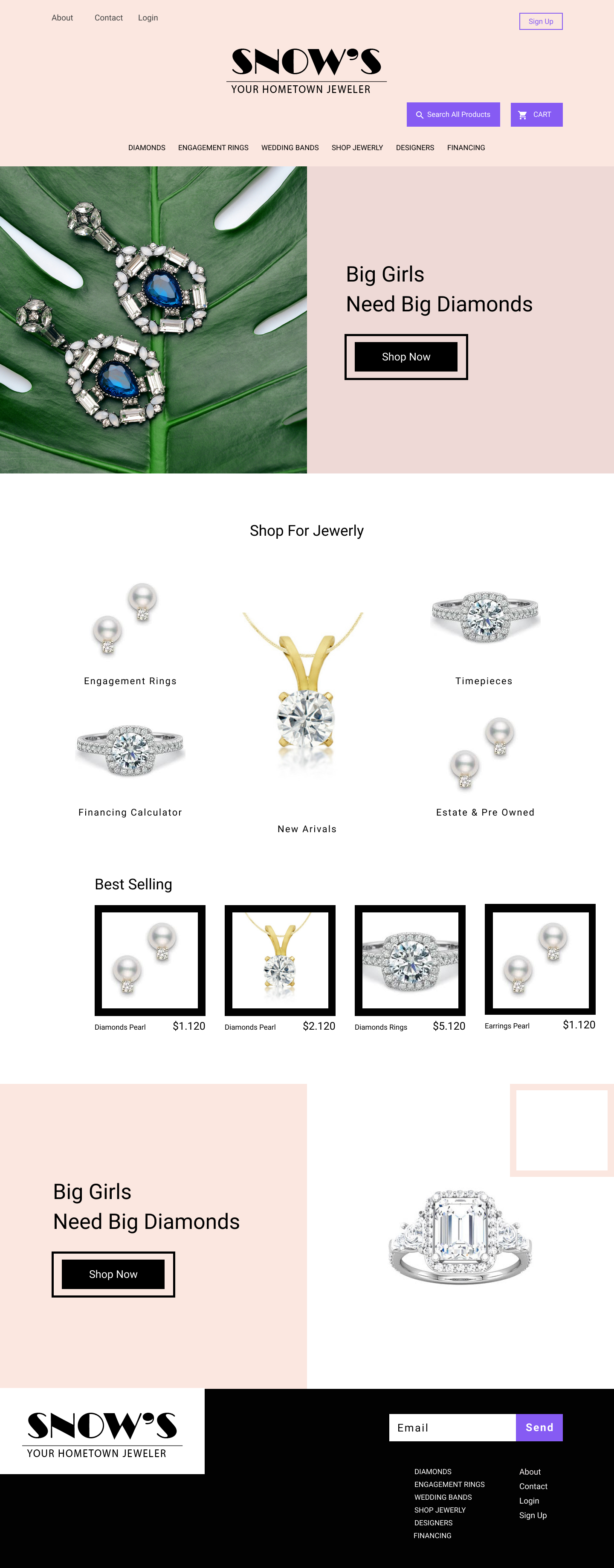 Web Design by fannanezik1 for this project | Design #24183199