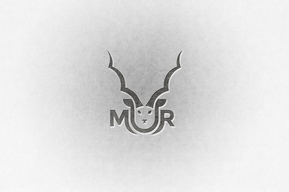 Logo Design by Giuro for this project | Design #24154299