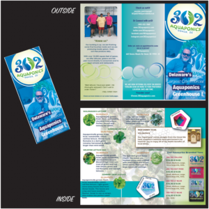 Brochure Design by Art by Rimjhim