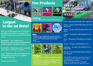 Brochure Design by Regina Su for 302Aquaponics | Design: #24232850