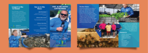 Diseño de Brochure por Artistic Flora para 302Aquaponics | Diseño: #24211744