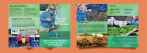 Brochure Design by Artistic Flora for 302Aquaponics | Design: #24215939