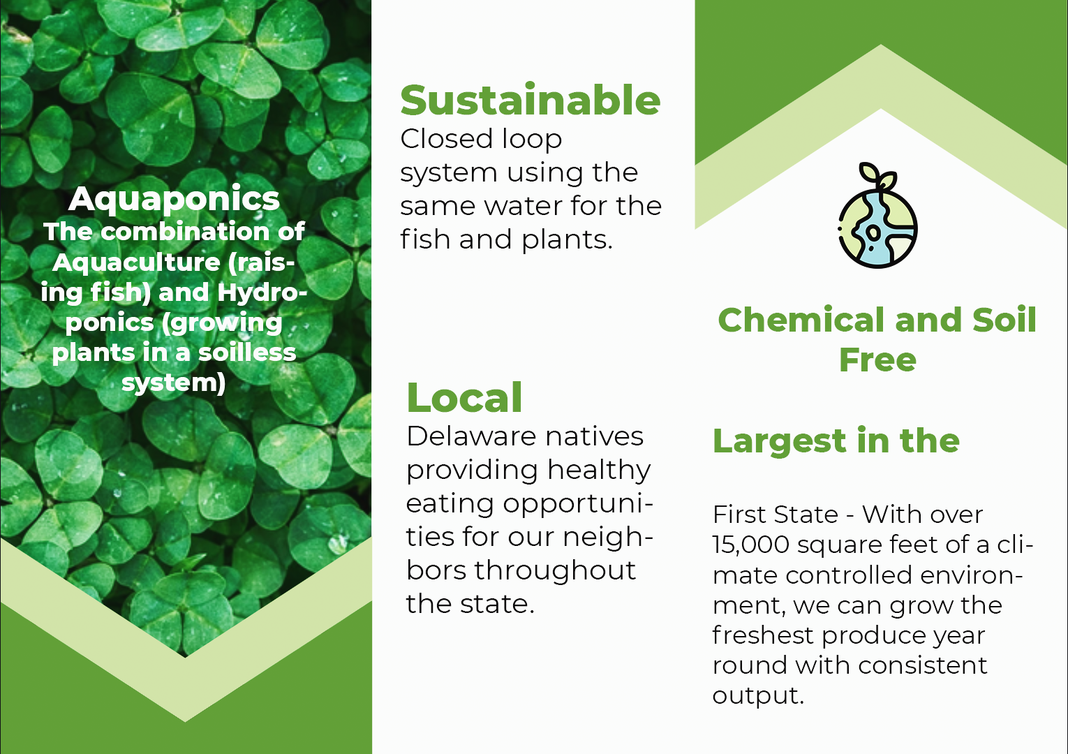 Brochure Design by Anastasya 6 for 302Aquaponics | Design #24237832