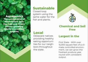 Brochure Design by Anastasya 6