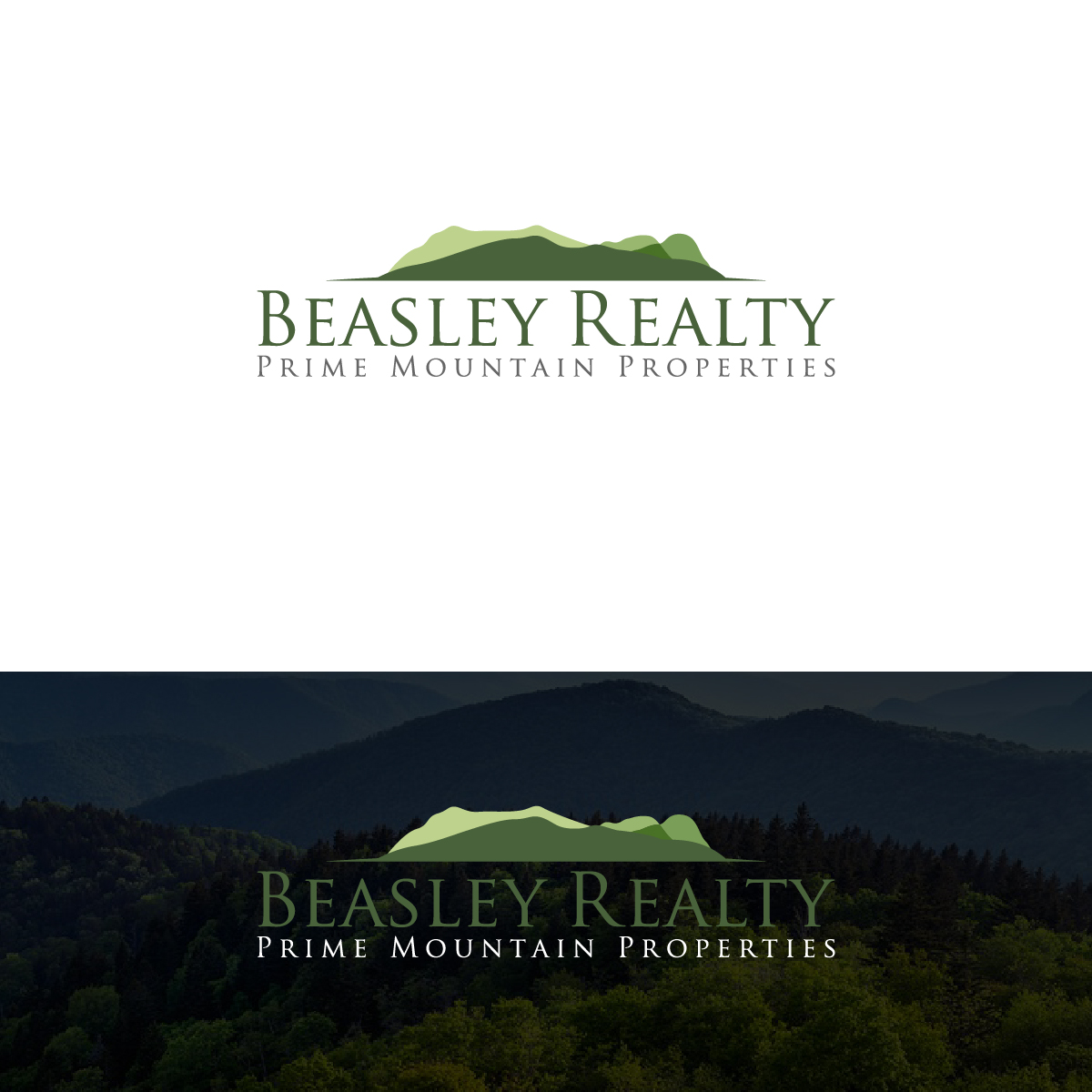 Logo Design by Deziners Zone for Beasley Images | Design #24153261