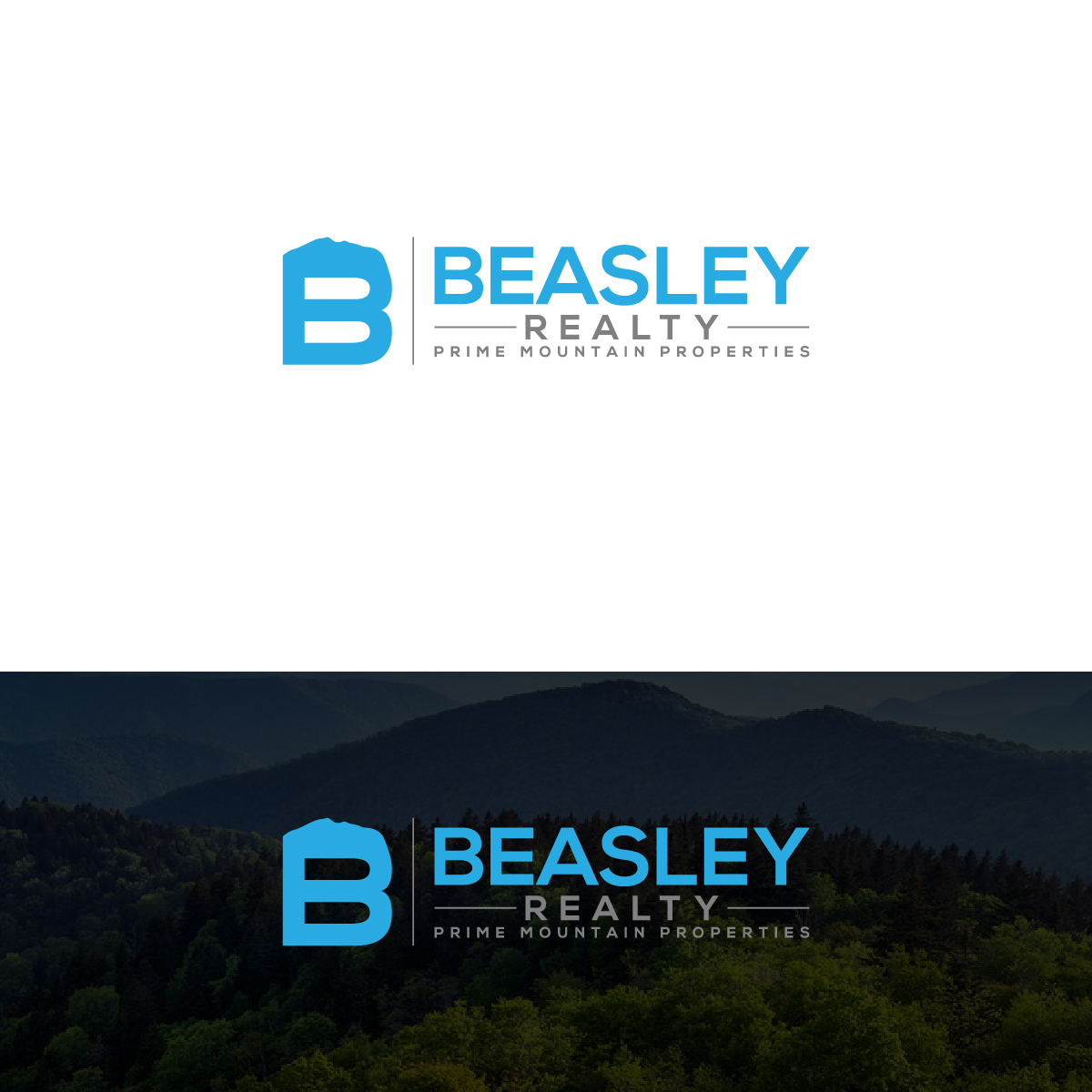 Logo Design by Deziners Zone for Beasley Images | Design #24153264