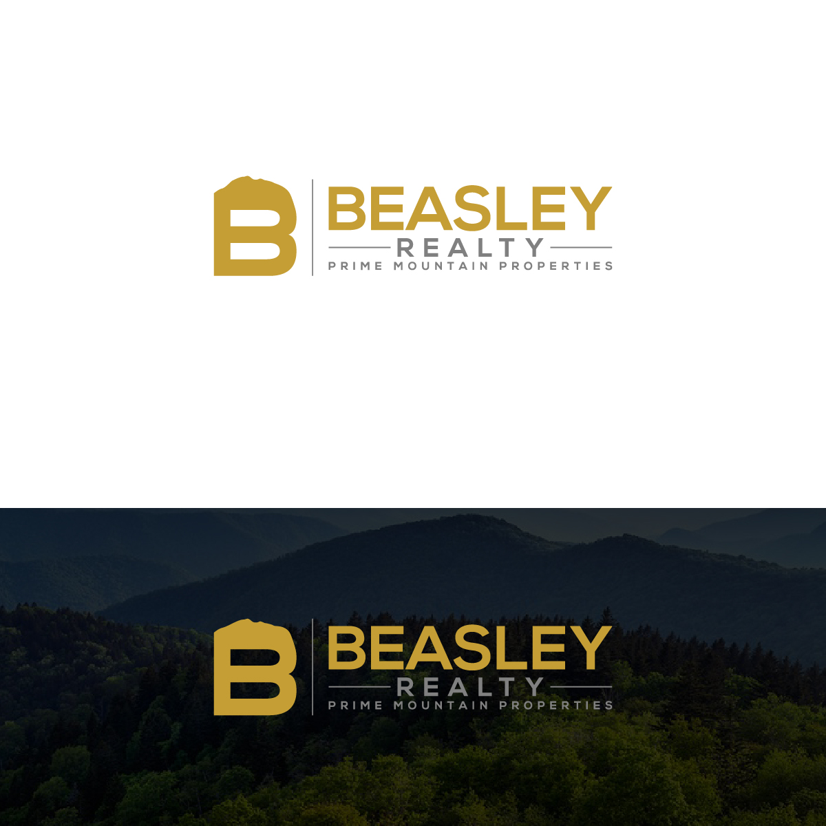 Logo Design by Deziners Zone for Beasley Images | Design #24153908