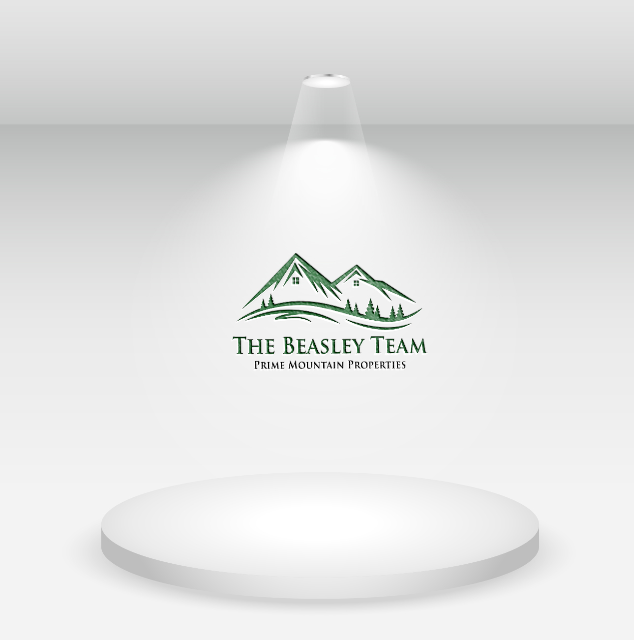 Logo Design by Md Al Amin 2 for Beasley Images | Design #24170355