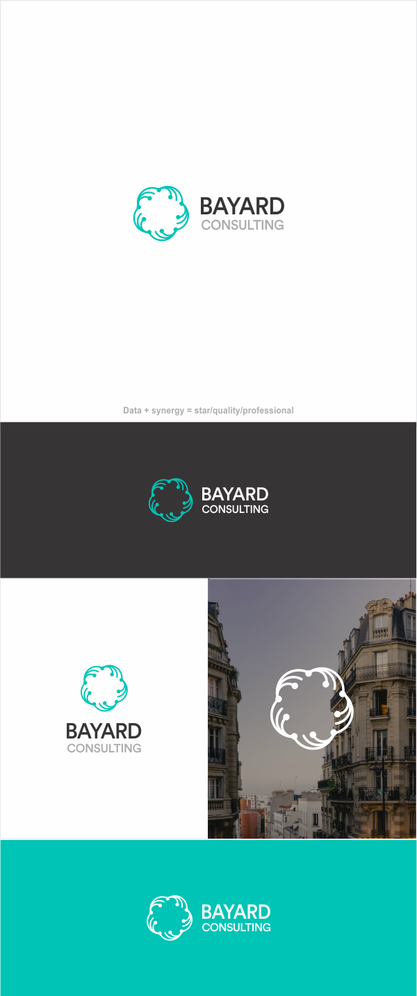 Logo Design by Naavyd for Bayard Consulting | Design #24168759
