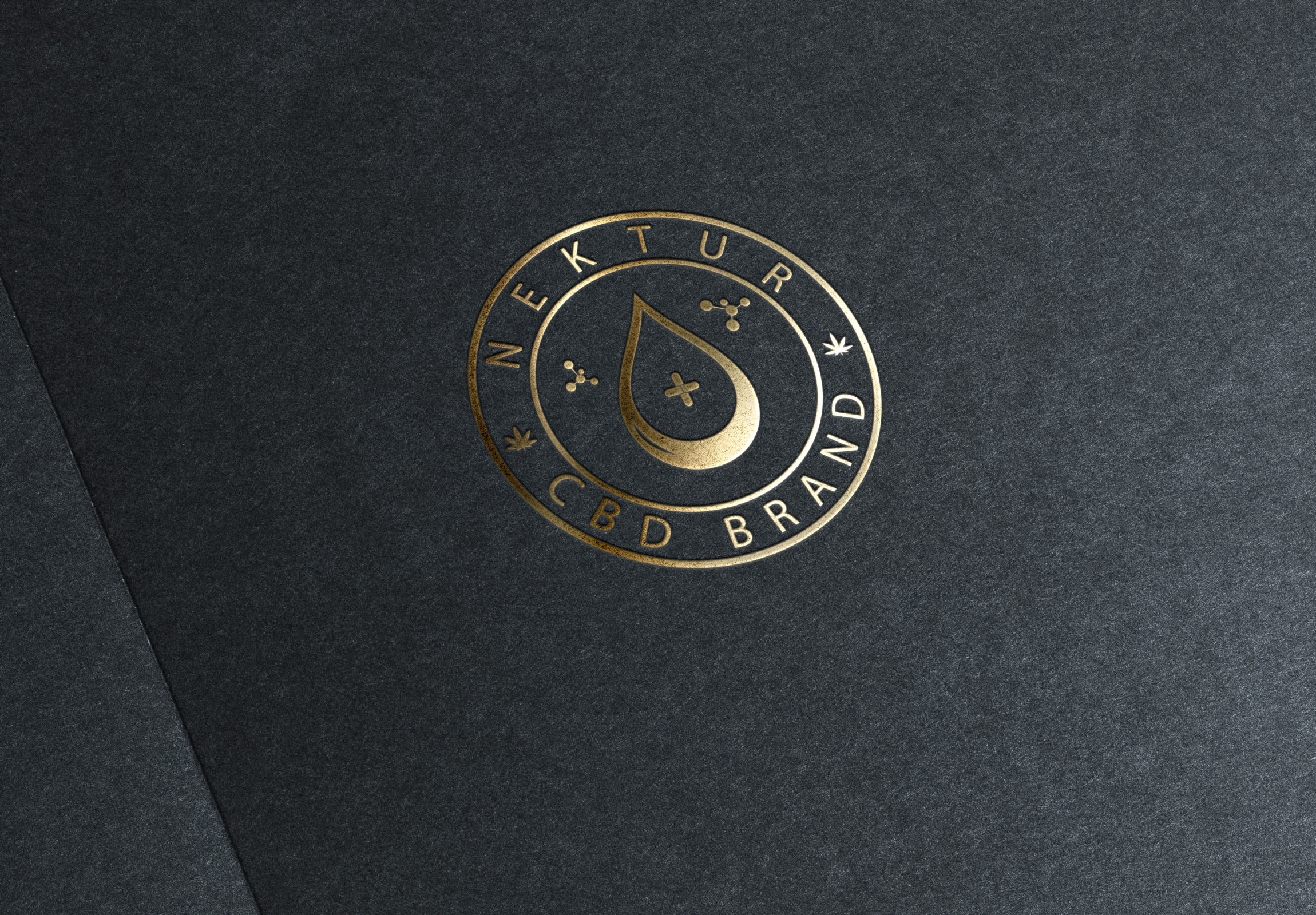 Design de Logo par baxterdesign pour ce projet | Design #24269460