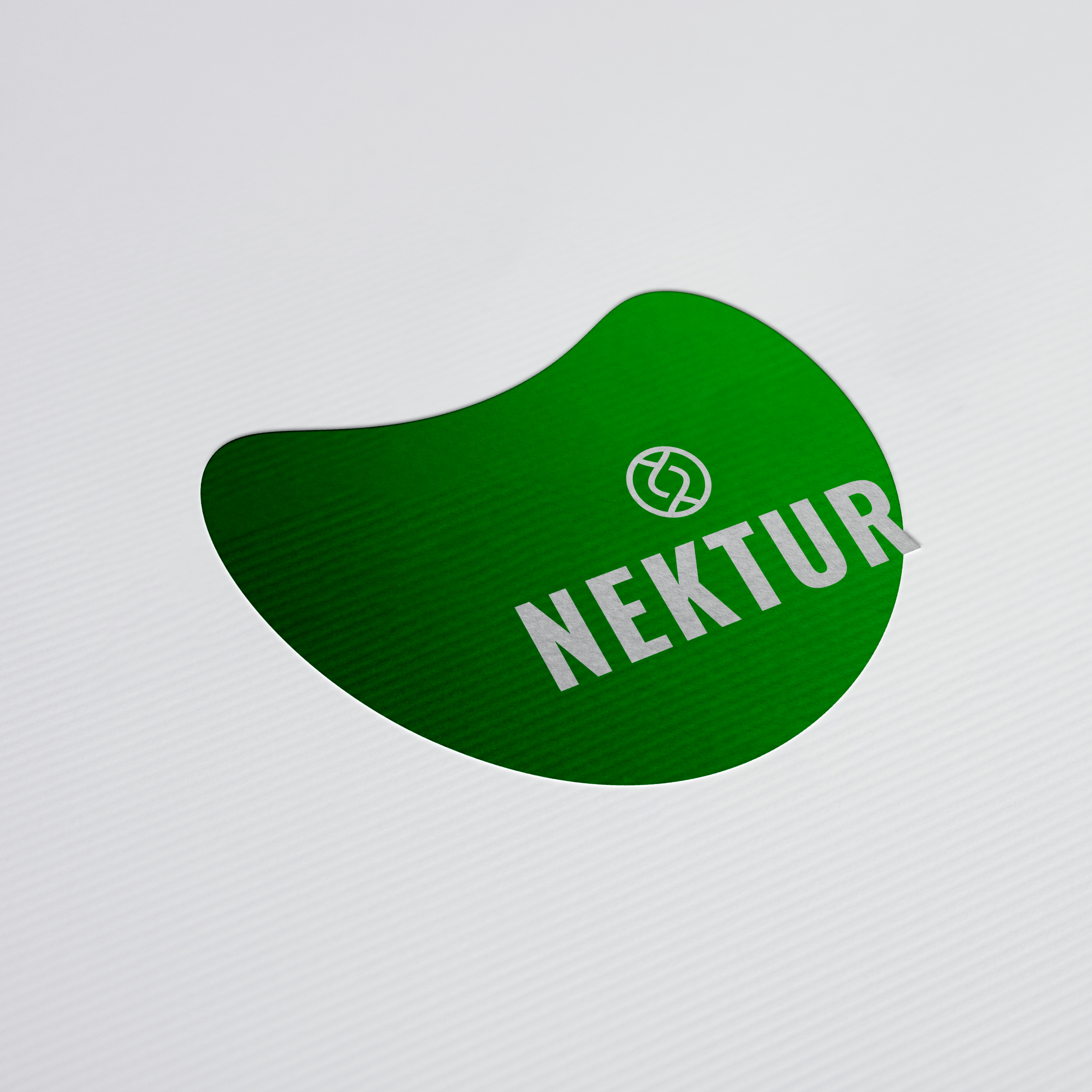 Logo Design by Paresh Sukhejas for this project | Design #24233175