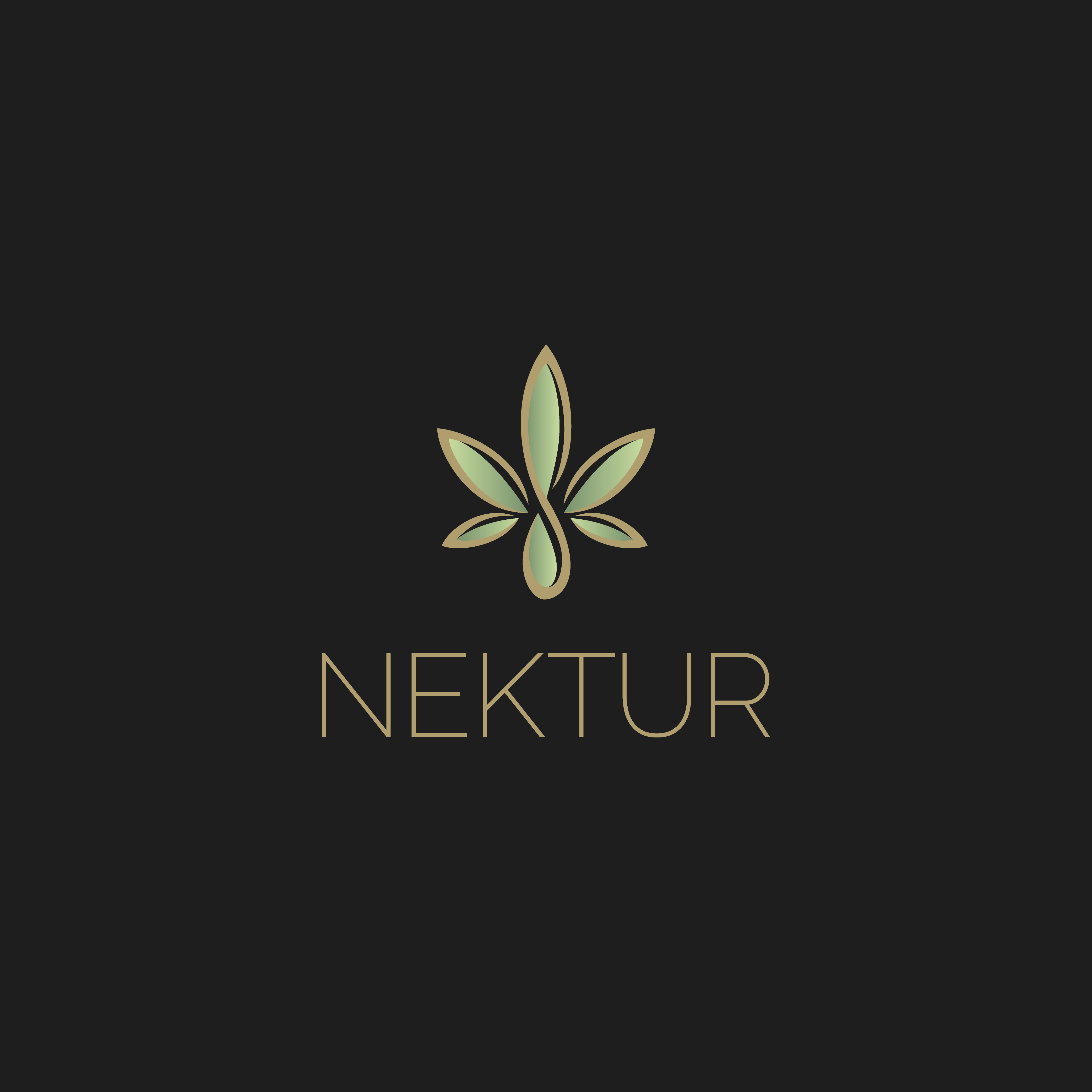 Logo Design by vectorinux for this project | Design #24235997