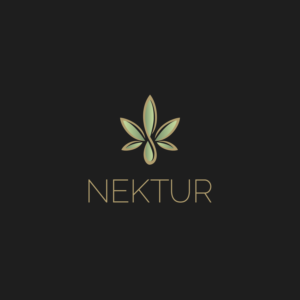 Logo Design by vectorinux