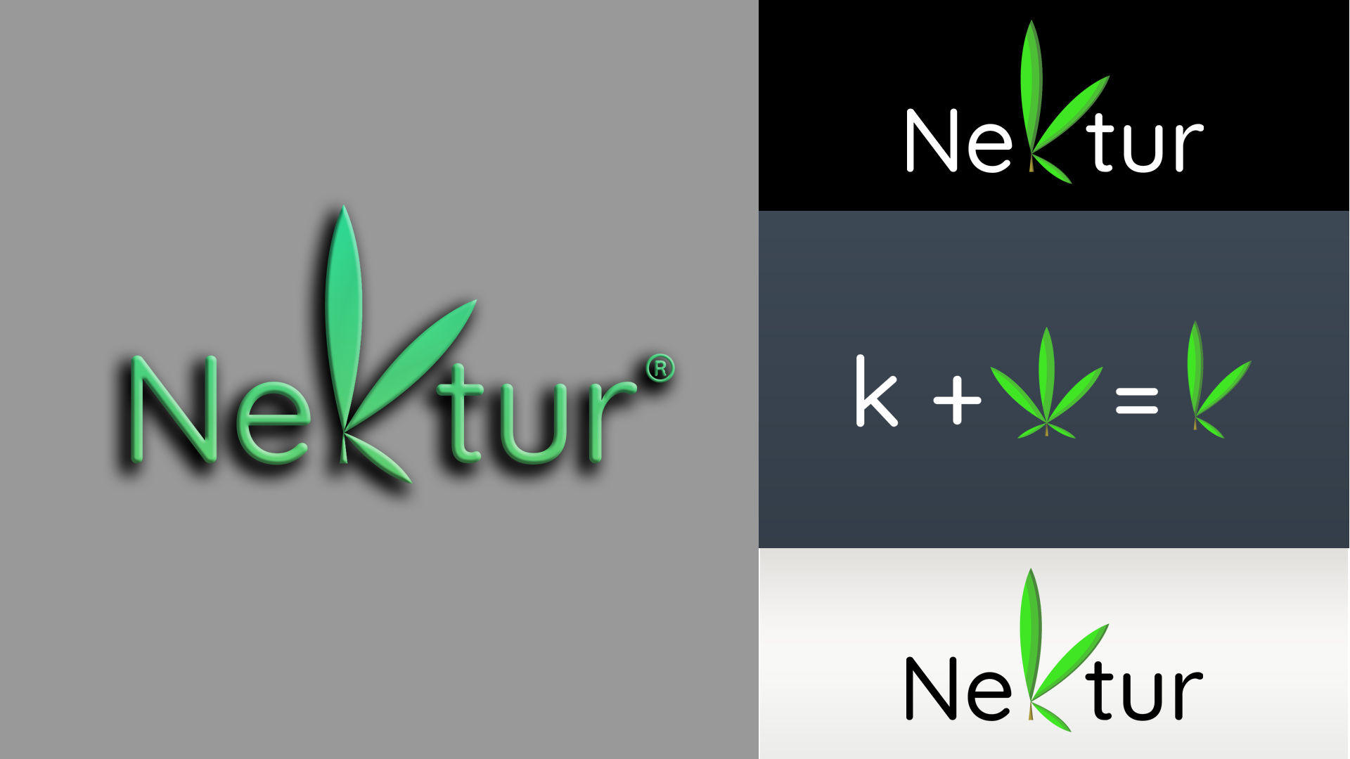 Logo Design by LisaNerroun95 for this project | Design #24182258