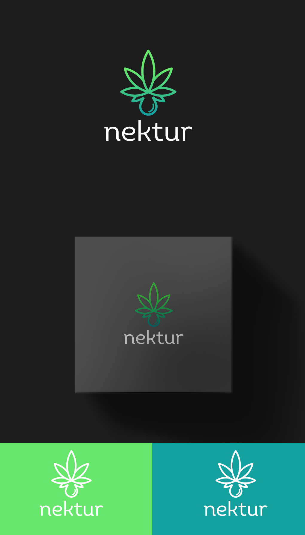 Logo Design by Shahzad.Designs for this project | Design #24180748