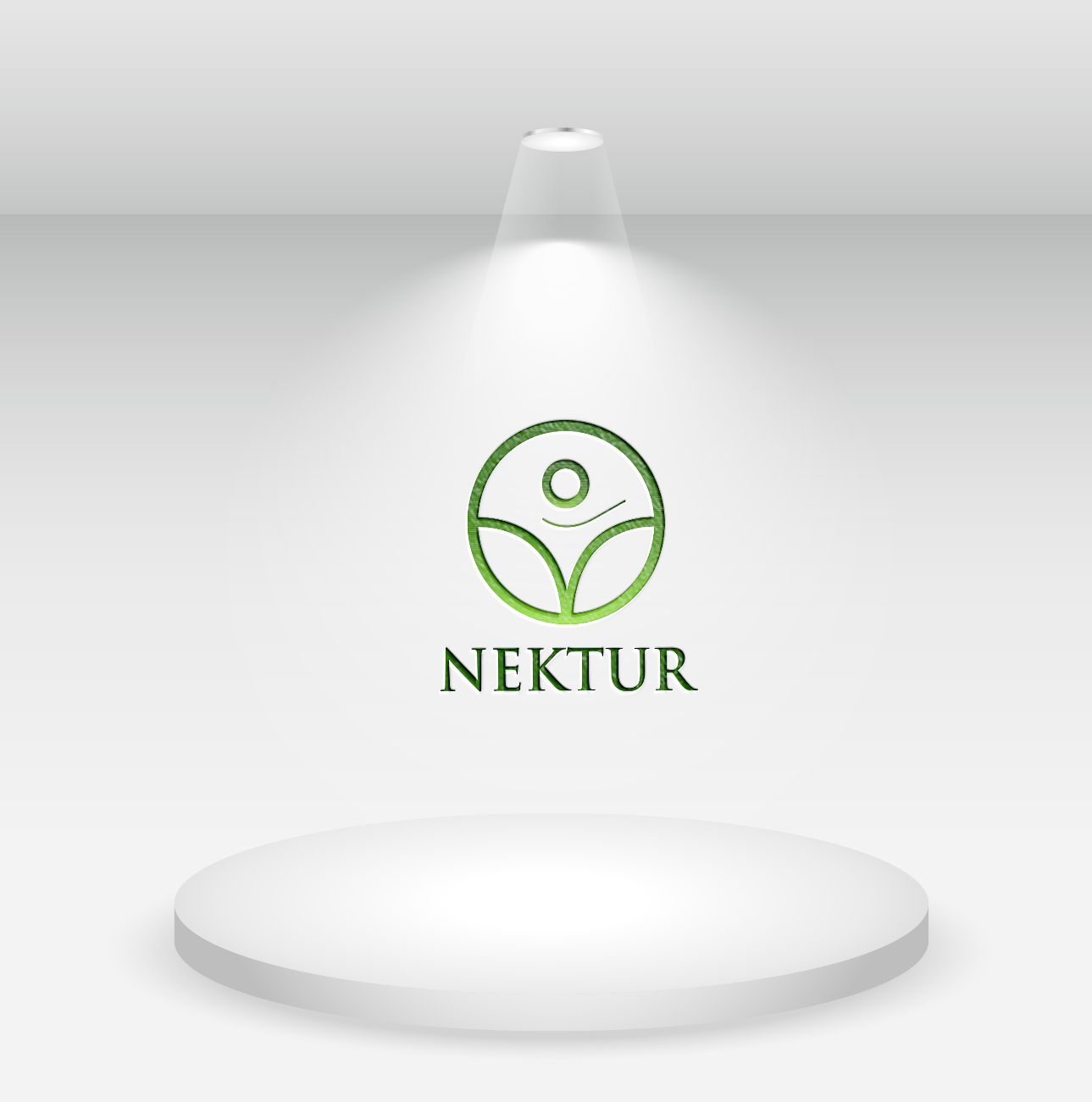 Design de Logo par Md Al Amin 2 pour ce projet | Design #24173039