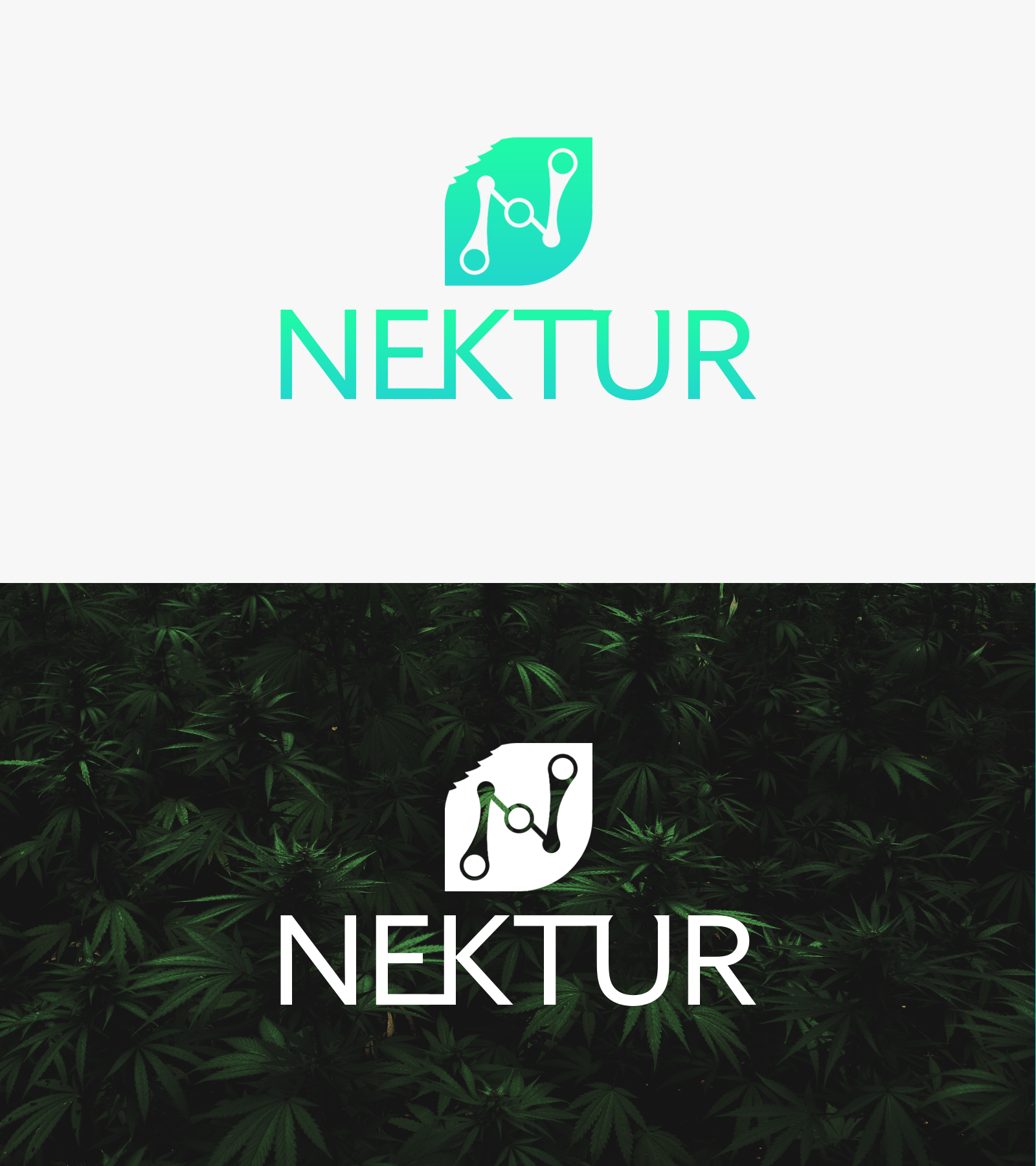 Design de Logo par Elogoist pour ce projet | Design #24187214