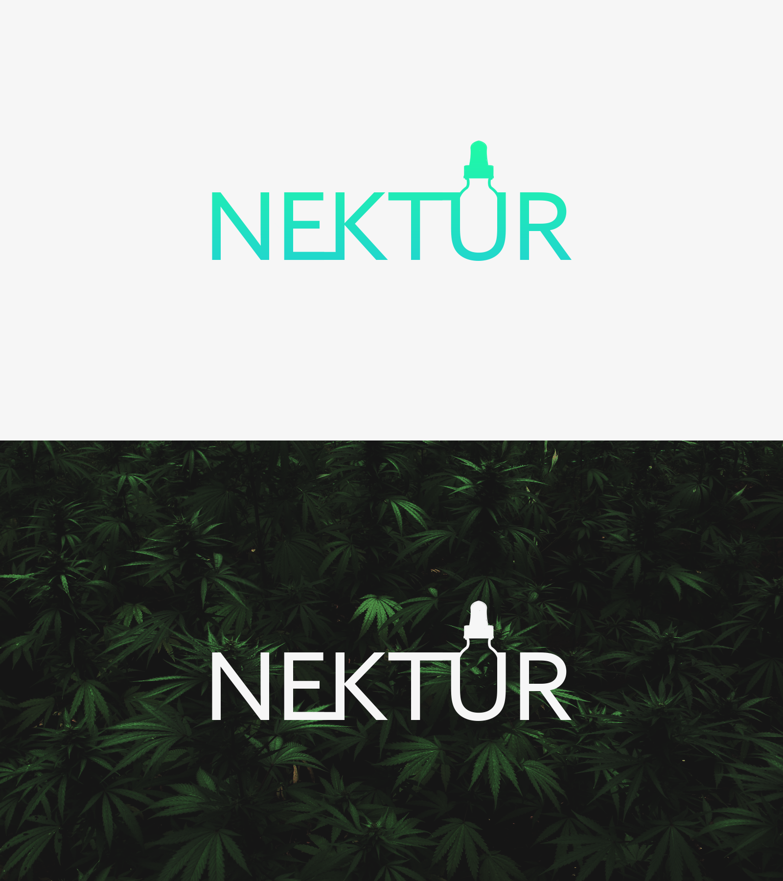 Logo Design by Elogoist for this project | Design #24202057