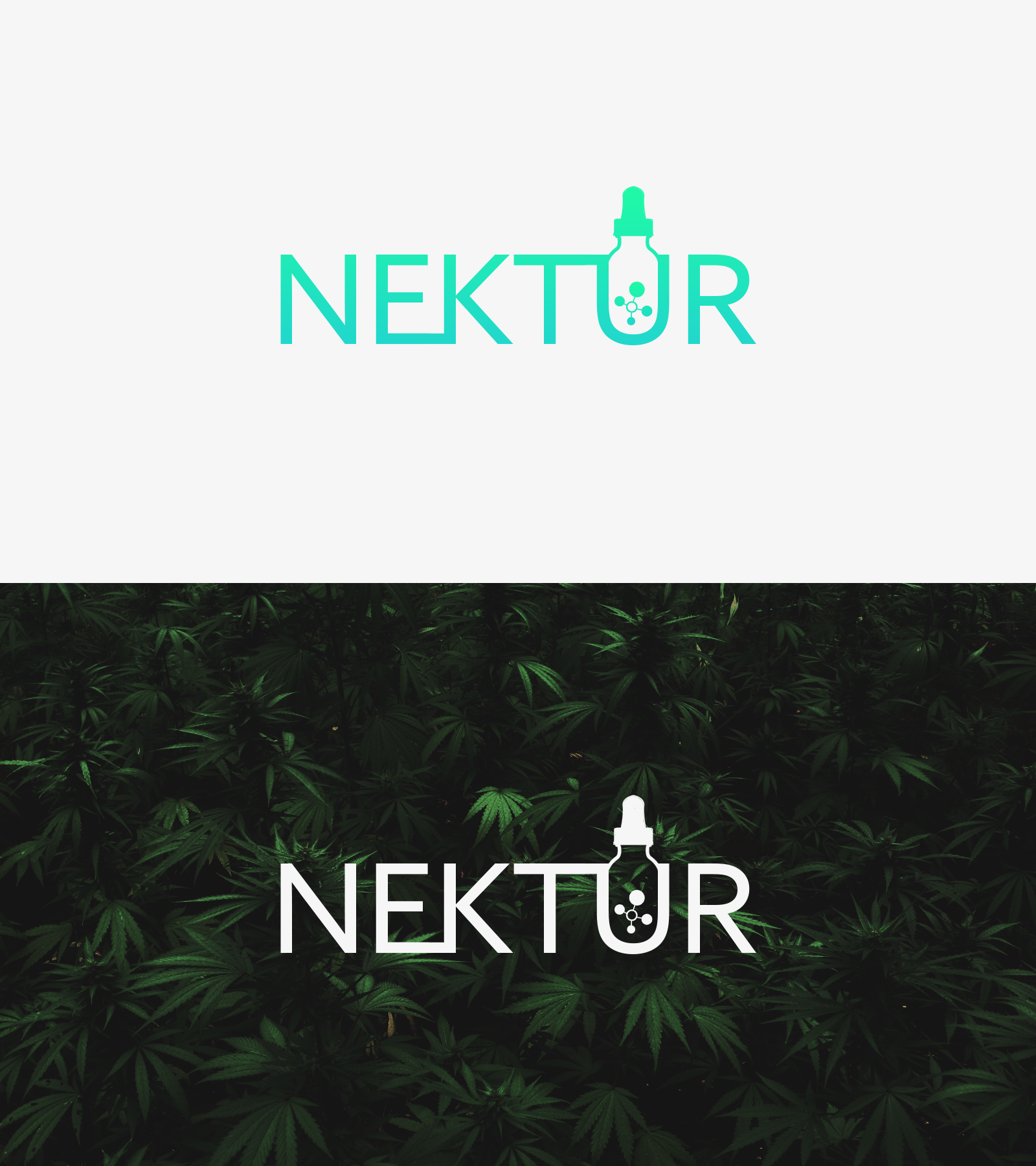 Design de Logo par Elogoist pour ce projet | Design #24202070